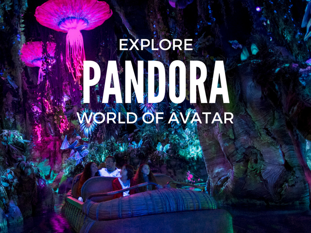 Animal Kingdom Pandora World of Avatar at Disney World.