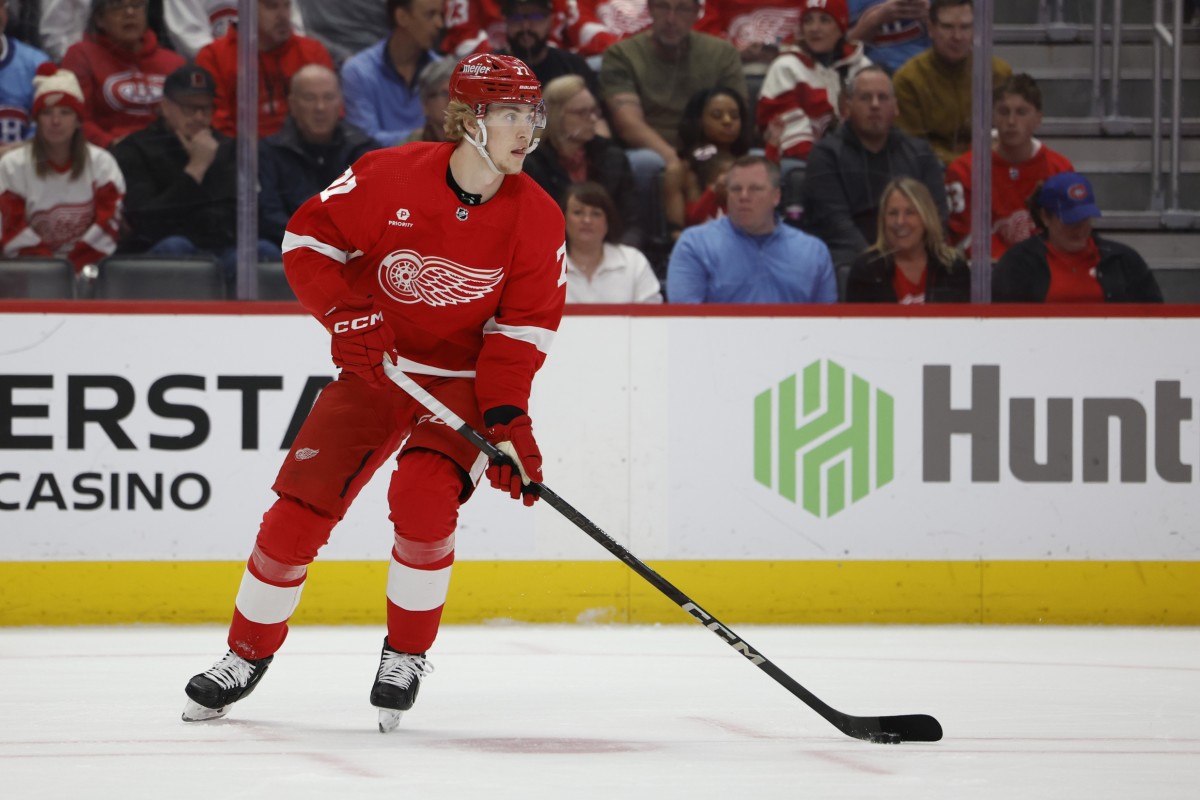 NHL Prospect Pool Overview 2024-25: What Makes The Detroit Red Wings ...