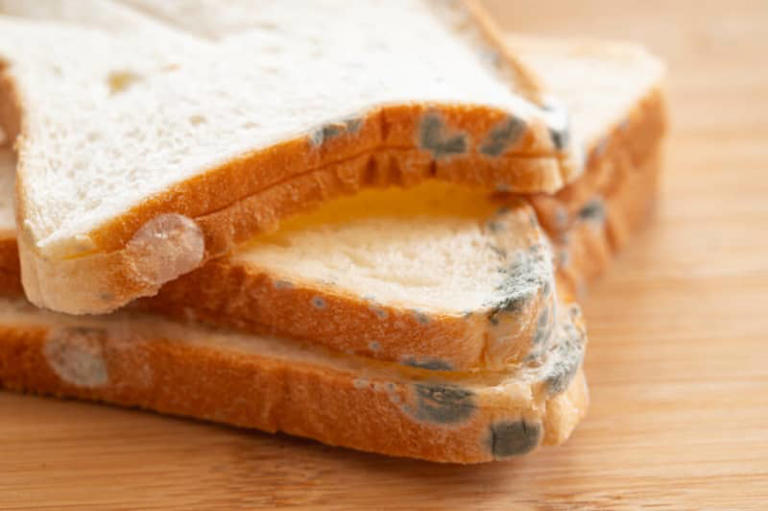 絶対に食べるべきではない『パン』の特徴5選…口にしてはいけないサインとは？