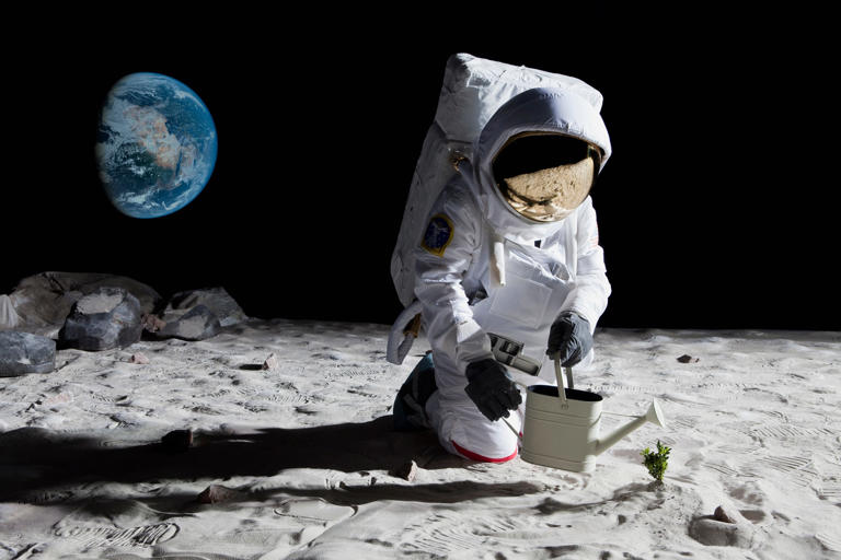 Exploring caves on the moon could offer a plethora of scientific data and resources for future space missions. Caspar Benson/Getty Images