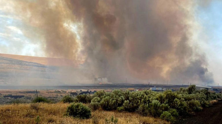 Fourteen attorneys general ask FEMA to make wildfire smoke, extreme ...