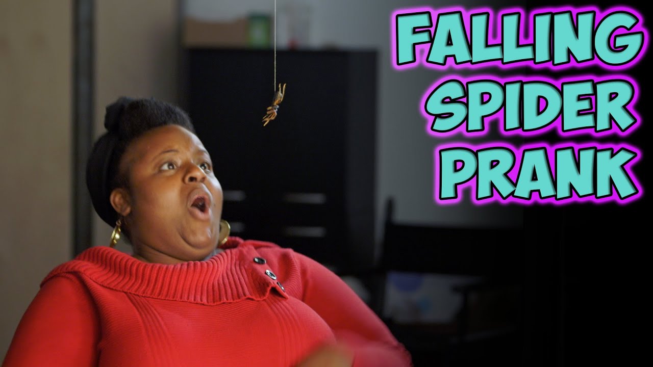 Falling spider scene with natural startled reactions