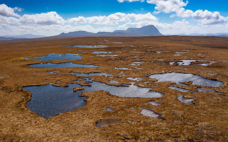 Scottish peat bog joins Victoria Falls and Grand Canyon as a World ...