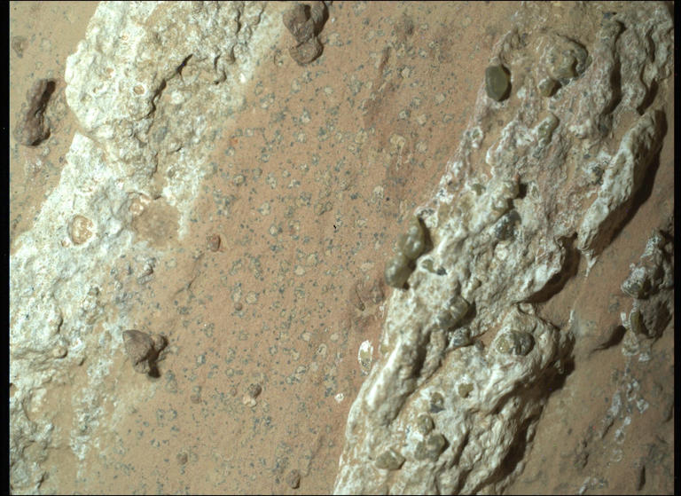 A reddish Mars rock, nicknamed "Cheyava Falls," contains leopard spots that could point to ancient microbial life. NASA/JPL-Caltech/MSSS