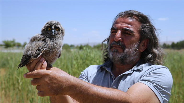 Annelerinden ayrı düşen yaban hayvanları rehabilitasyon merkezinde hayata tutunuyor