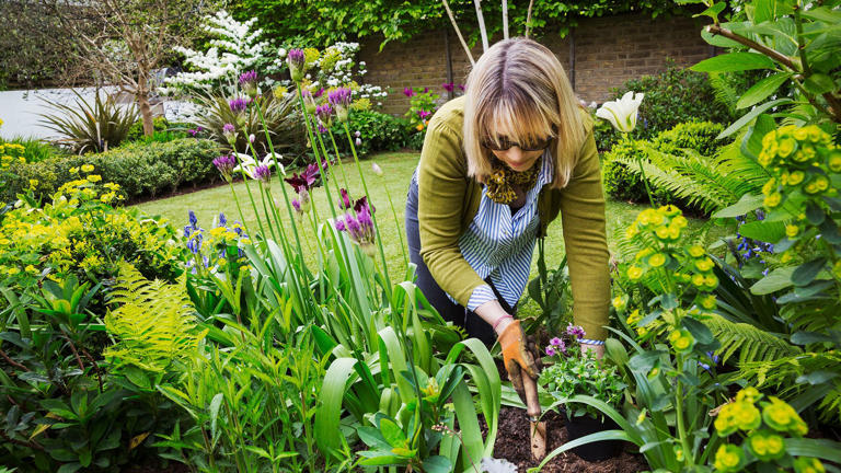 7 Cheap Landscaping Ideas That Will Transform Your Yard, According To 