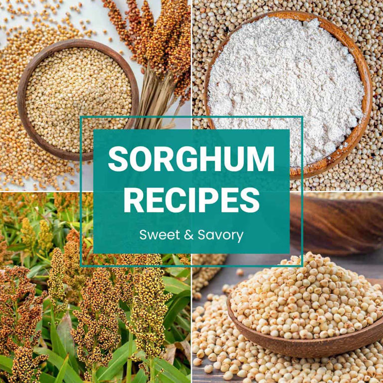 Sorghum Recipes