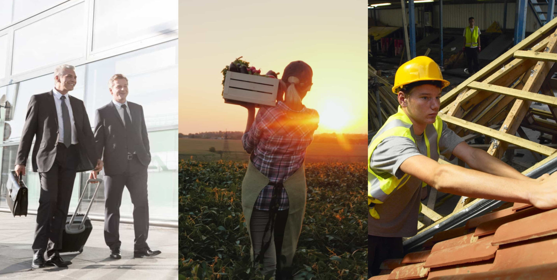 qué intelligence overview