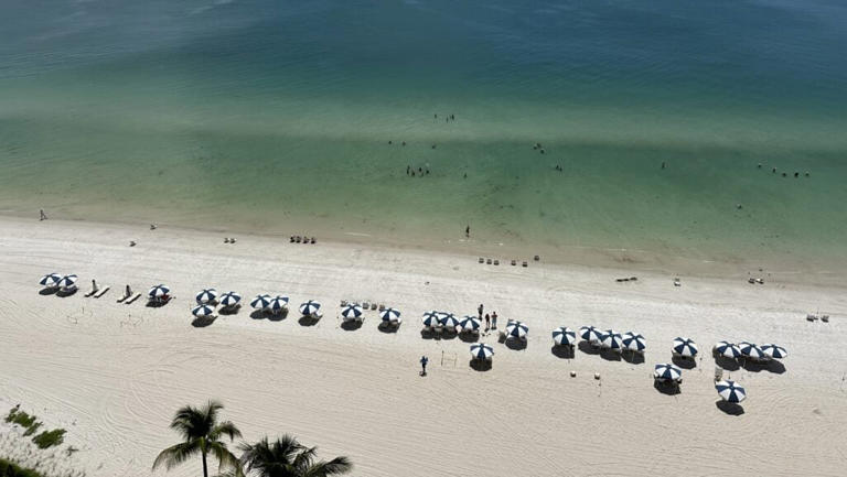 The view from a Gulf Tower room at LaPlaya Beach & Golf Resort will have you reaching for a camera (Photo: Beth Luberecki)