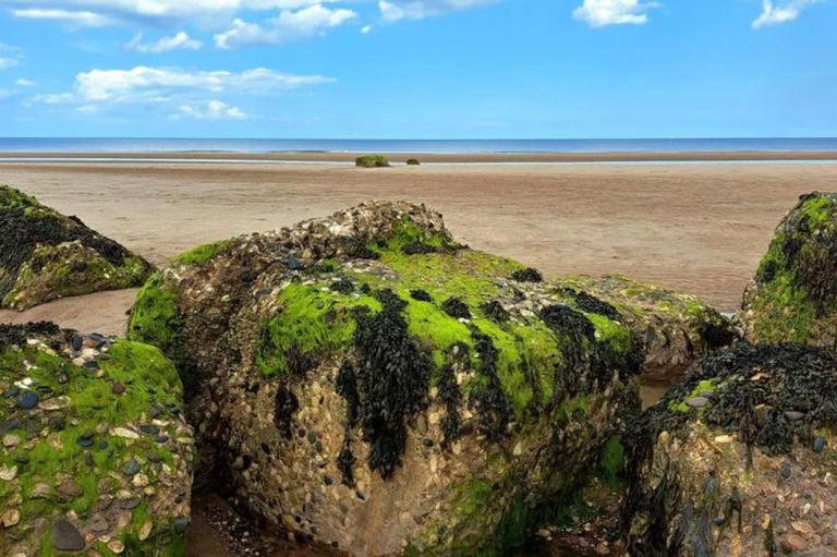 Yorkshire's 'untouched' beach with cafe on the cliff edge