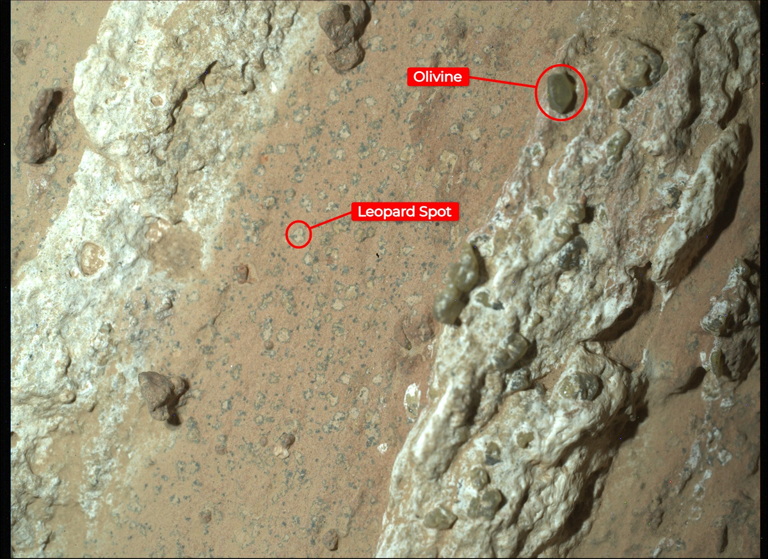 An annotated image of the Cheyava Falls rock, the two vertical veins of calcium sulfate can be seen on the left and right of the image.