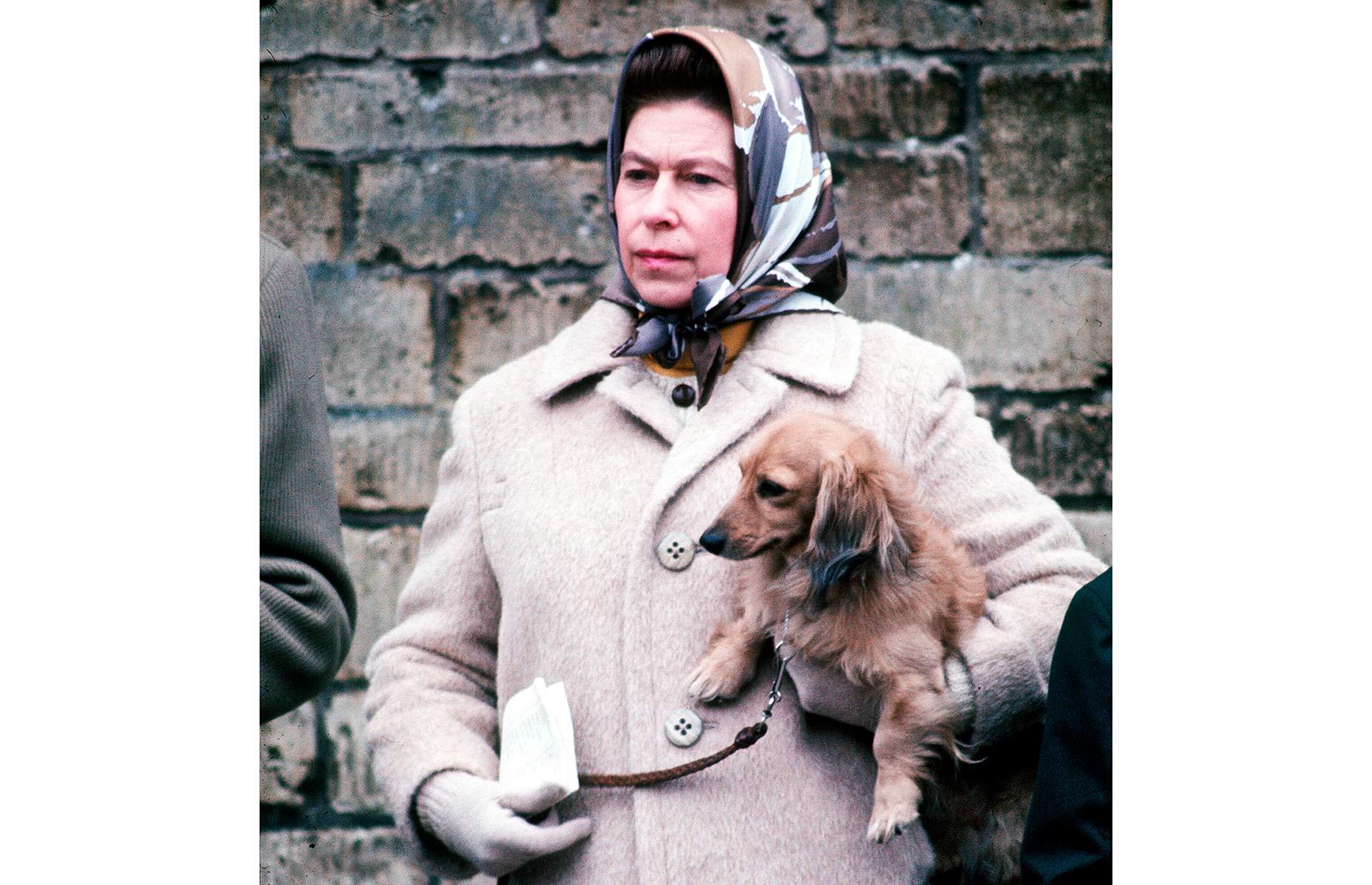 The pets the British Royal Family loved