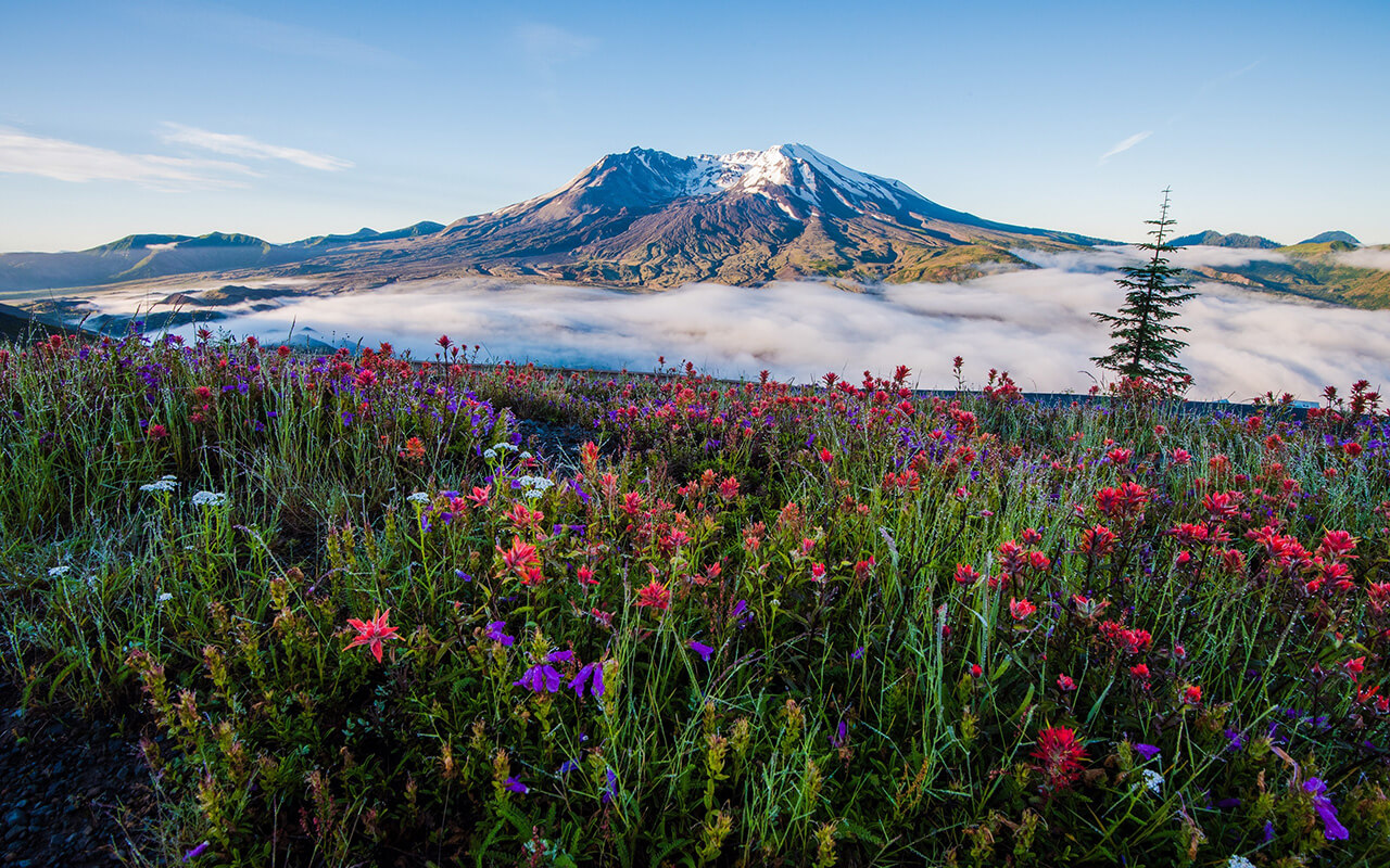 <p><strong>Pricing:</strong> Starting at $5,545 per person</p> <p>Experience the 9-day Columbia & Snake Rivers cruise aboard American Jazz. Discover Mount Hood and Mount St. Helens, and explore Astoria's Victorian charm and Lewis and Clark history. Visit Kalama’s Cascade Mountains, Richland’s waterfront, Pendleton's Western heritage, and Clarkston's Hells Canyon. </p> <p>Cruise through stunning landscapes, from green bluffs to the legendary Snake River, while savoring breakfast on board. Reflect on your adventure, cherishing memories and newfound friendships as you head home.</p> <p><strong>Highlights:</strong></p> <ul class="wp-block-list">   <li>Explore Astoria’s Victorian charm and Lewis and Clark sites</li>   <li>Enjoy Cascade Mountain views and wine tasting in Kalama</li>   <li>Discover Richland’s scenic trails and cultural heritage</li>   <li>Cruise the Snake River to Clarkston's Native American history.</li>  </ul>
