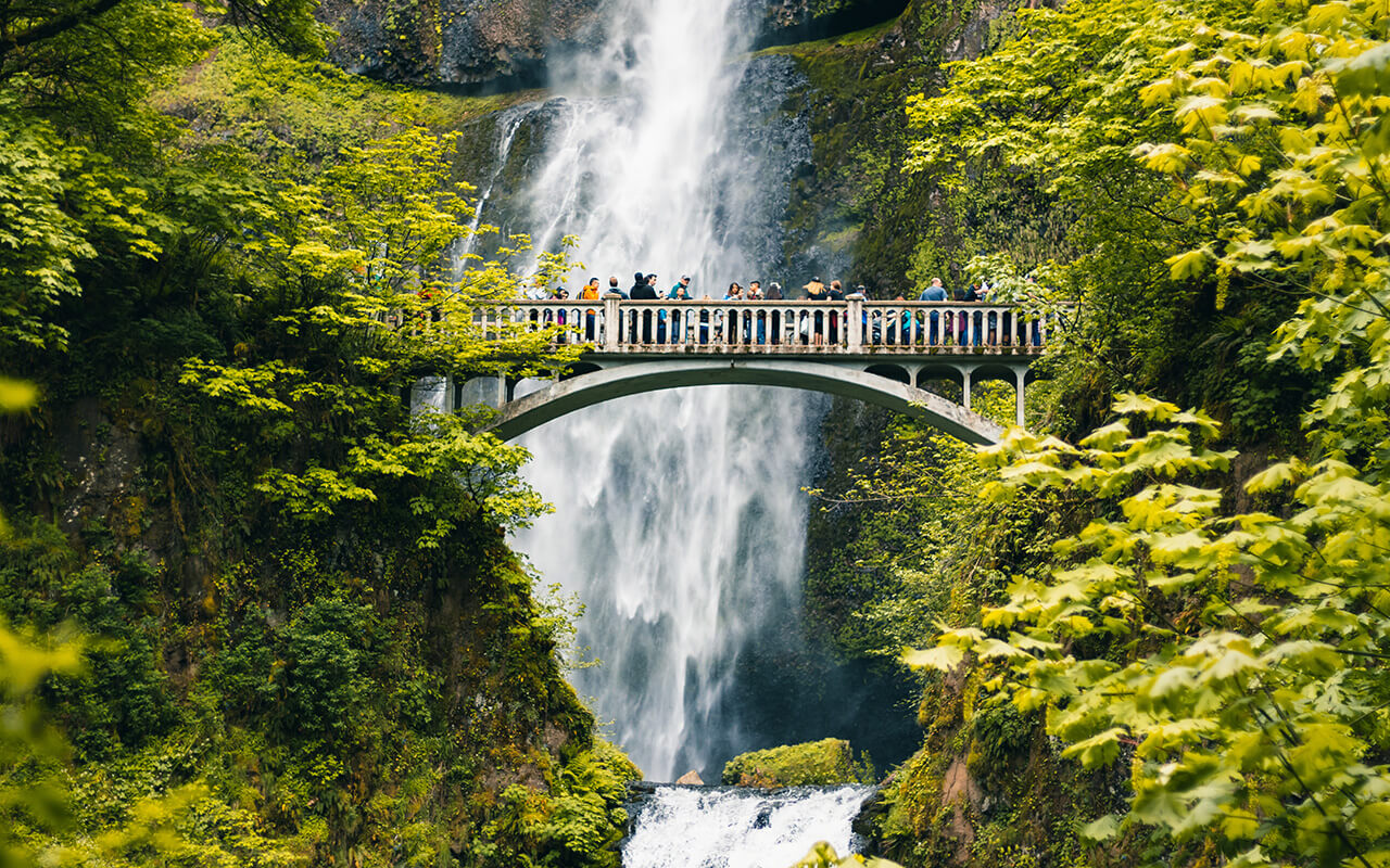 <p><strong>Pricing:</strong> Starting at $9,665 per person</p> <p>Set sail on a 12-day cruise aboard the American Song, uncovering the Pacific Northwest’s untamed beauty. Depart from Portland with Mount Hood and Mount St. Helens as your backdrop. </p> <p>Discover Astoria’s historic charm, Kalama’s Mount St. Helens, and the Columbia River Gorge’s waterfalls. Experience pioneer life in The Dalles, Richland’s landscapes, and Pendleton’s cowboy culture, concluding in Clarkston with an exploration of Hells Canyon.</p> <p><strong>Highlights:</strong></p> <ul class="wp-block-list">   <li>Explore Astoria, the oldest American settlement west of the Rockies</li>   <li>Marvel at the Columbia River Gorge’s natural wonders</li>   <li>Uncover Hood River’s artisan delights</li>  </ul>