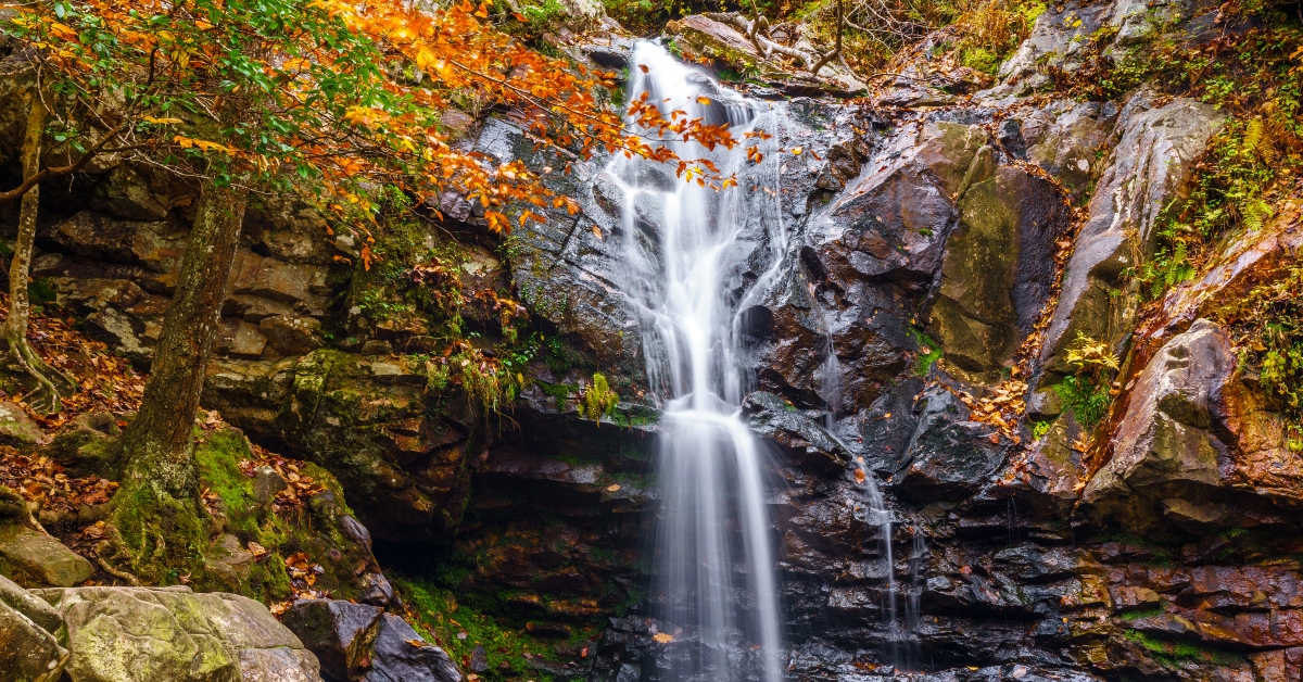 The Most Amazing State Park in Every State