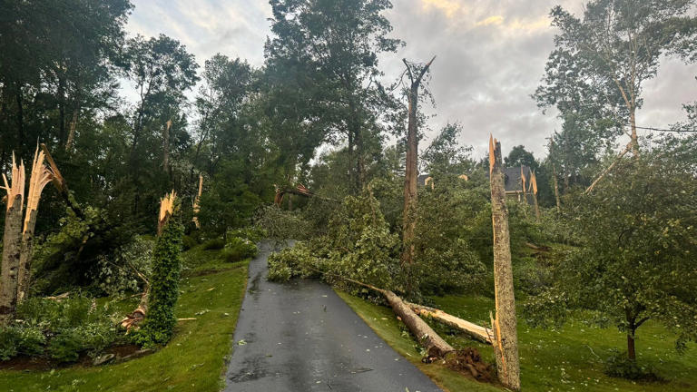 Tornado that ripped through NH town snapped as many as 1K trees, picked ...