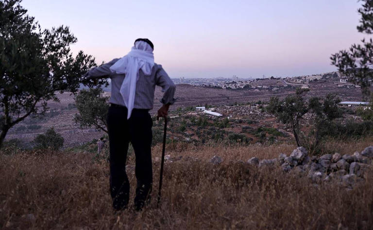 Olayan Olayan, que nació en el pueblo de Battir en 1941, contempla un valle en el que se está construyendo un nuevo puesto de avanzada de colonos <strong>israel</strong>íes. Foto:AFP