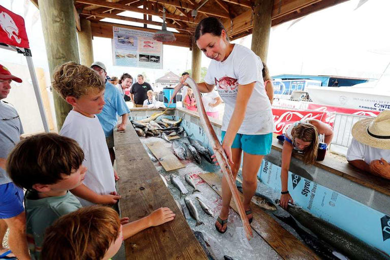 Jaylyn Babitch with the the Dauphin Island Sea Lab displays an unusual red cornet fish to the public on the opening day of the 82nd Alabama Deep Sea Fishing Rodeo on Friday, July 17, 2015, in Dauphin Island, Ala.
