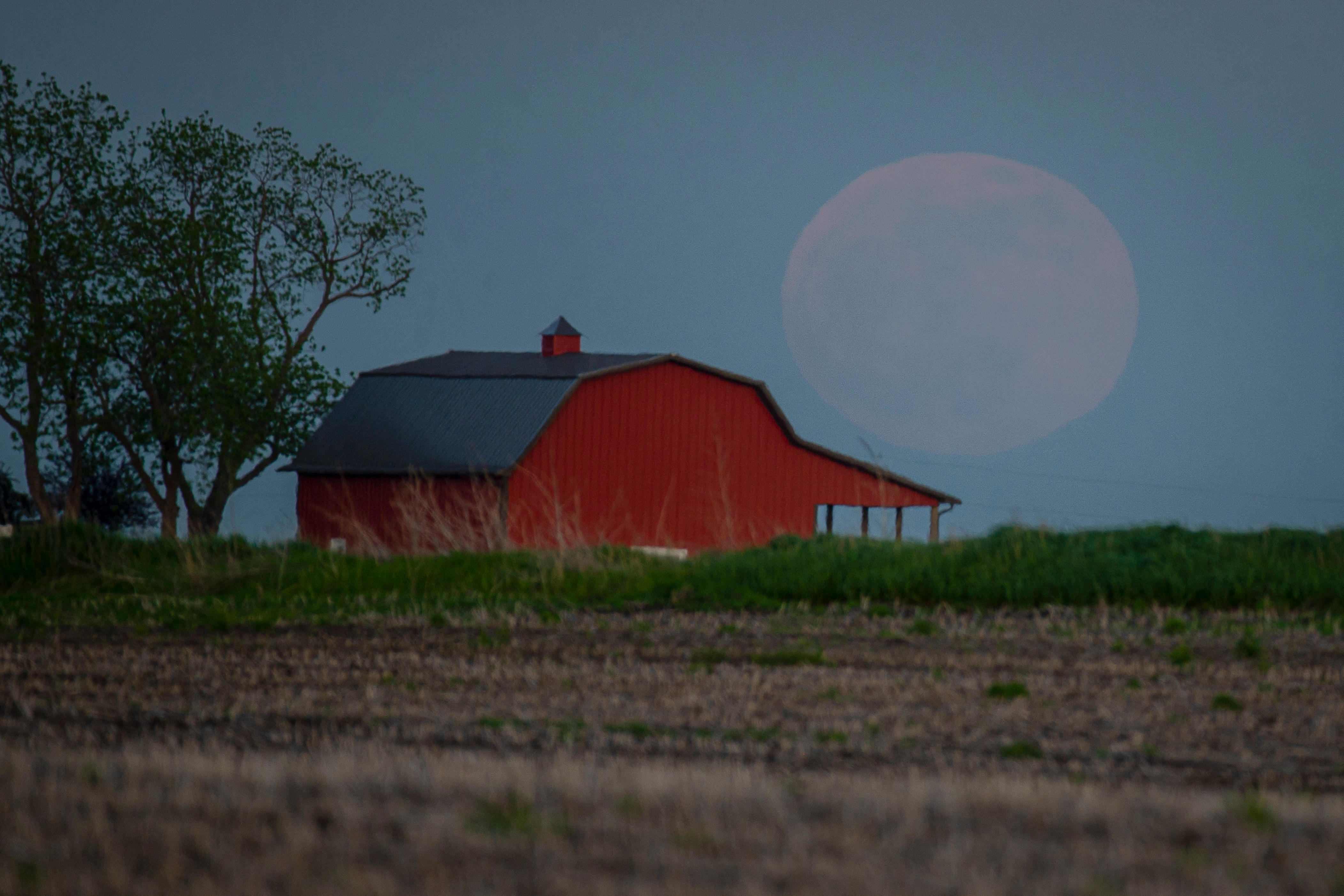 See when the total lunar eclipse, blood moon, will be visible in Iowa