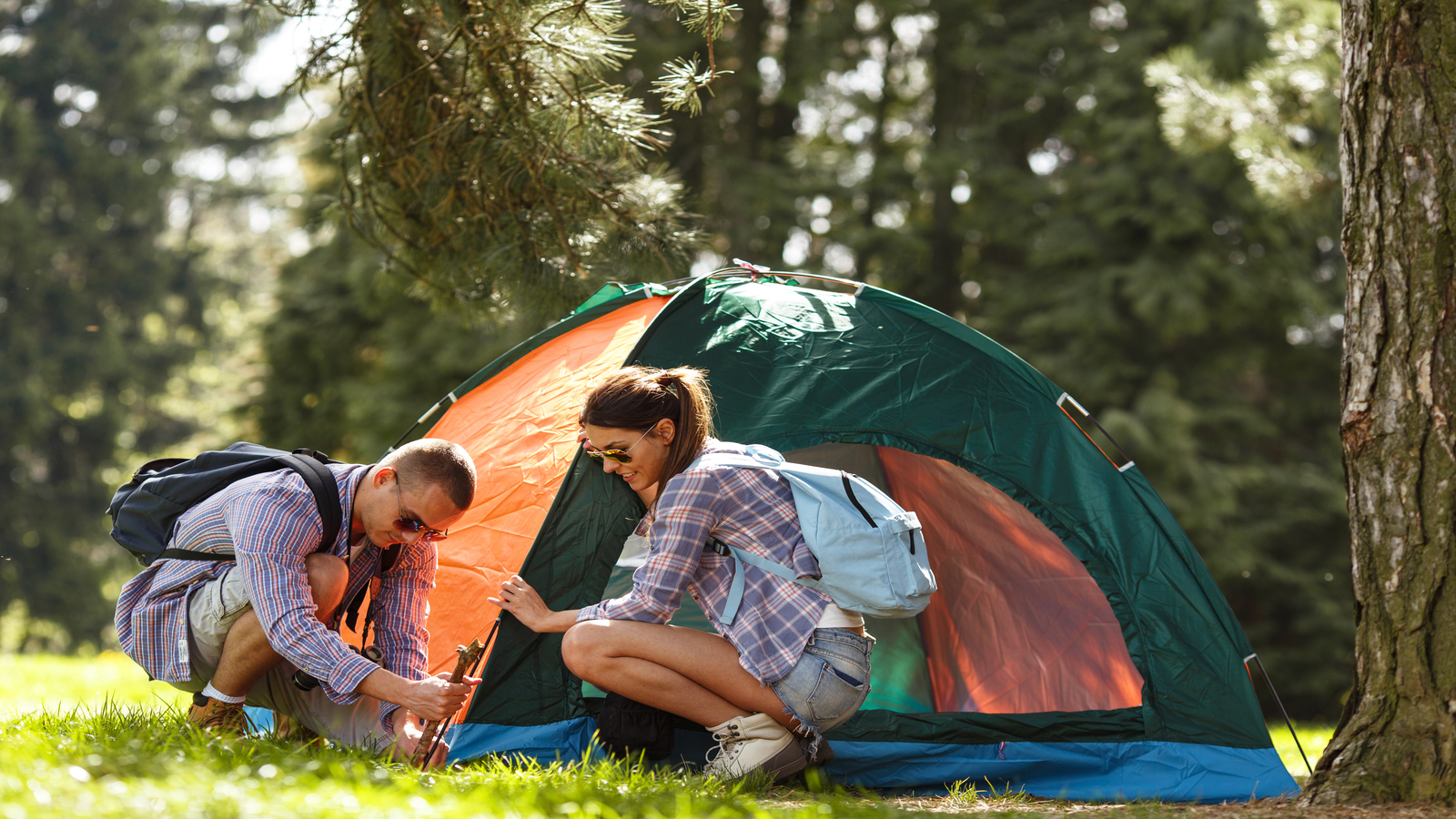 <p>Your top priority for any camping road trip should be your tent. Why?</p>  <p>Because this is your home away from home, and nobody likes staying in an uncomfortable home that doesn’t even allow them to sleep properly.</p>  <p>Choose an easy-to-setup, durable, spacious tent that withstands California’s mountain winds, coastal fog, and desert heat.</p>  <p>Okay, with the tent sorted out, you need a good-quality sleeping bag, especially for those chilly nights. Look for one with a mesh pocket to keep your phones, headlamps, or other gear inside.</p>  <p>But along with the sleeping bag, remember the sleeping pad for extra comfort at campsites on rocky terrain.</p>