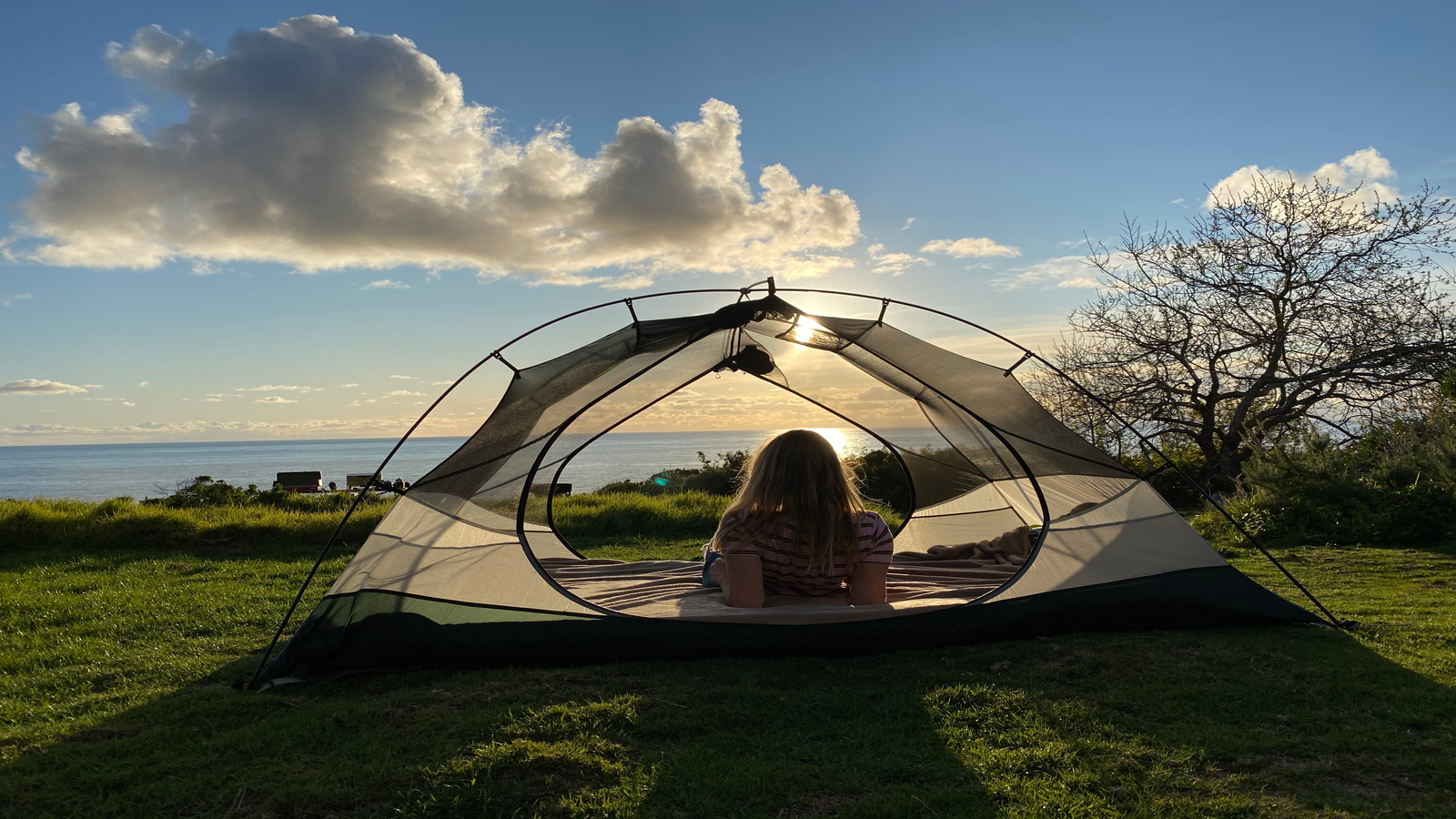 <p>Camping brings you very close to nature. And when it comes to the Golden State, you’re in camping heaven. </p>  <p>The essentials in the list make you well-prepared for the overall camping road trip so you don’t face any challenges along the way or on the actual campground.</p>  <p>If this is going to be your first camping road trip, chill out. We’ve covered everything that you’ll need, so just hit the road and start camping!</p>