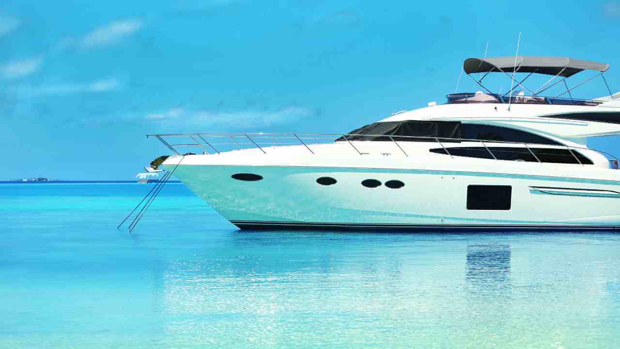 <p>Why not consider indulging in a luxurious yacht charter when looking for a unique <a href="https://travelreveal.com/destination-guides/">vacation idea</a>? If being out on crystal-clear water is what you crave, look at our list of the most gorgeous, comfortable, and luxurious yacht charters to book. Each one provides different amenities, features, and experiences. Let's get started!</p>