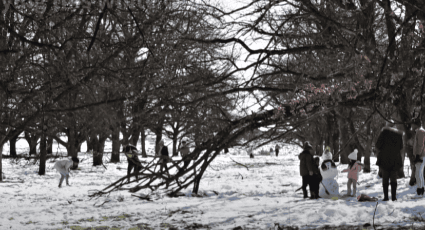 <p>In July, 2023, a <a href="https://youtu.be/rMtlgensFug">rare snowfall</a> blanketed Johannesburg and other high-lying parts of South Africa in white much to the joy of children. People in South Africa's largest city woke up to see snow after ten years.</p>           Sharks, lions, tigers, as well as all about cats & dogs!           <a href='https://www.msn.com/en-us/channel/source/Animals%20Around%20The%20Globe%20US/sr-vid-ryujycftmyx7d7tmb5trkya28raxe6r56iuty5739ky2rf5d5wws?ocid=anaheim-ntp-following&cvid=1ff21e393be1475a8b3dd9a83a86b8df&ei=10'>           Click here to get to the Animals Around The Globe profile page</a><b> and hit "Follow" to never miss out.</b>