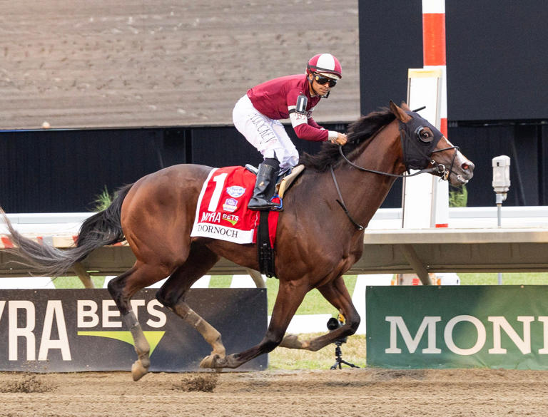 Belmont Stakes won by Sovereignty. Is Haskell at Monmouth Park next for