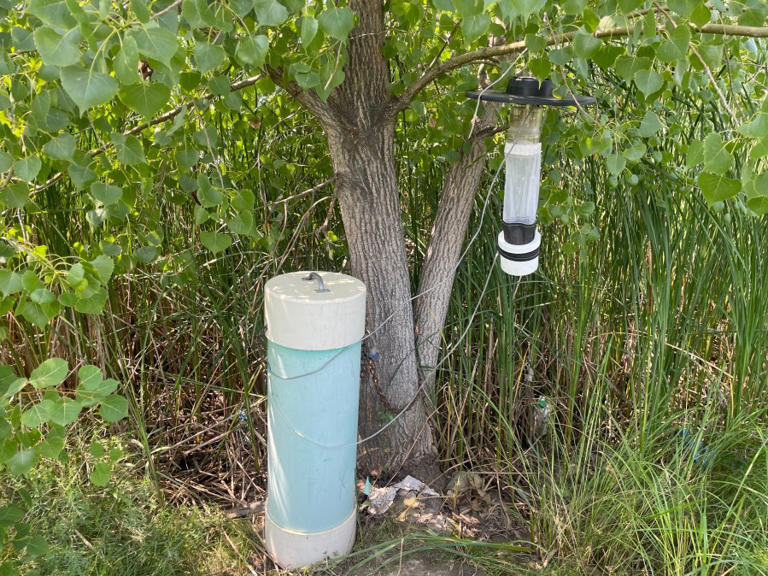 South Dakota’s mosquito war