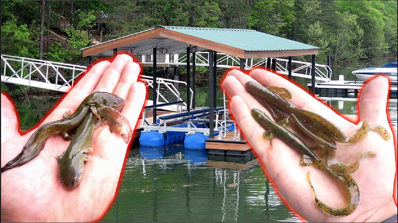 Live bait versus artificial dock flipping challenge revealed