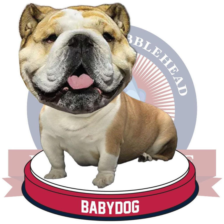 Loved Babydog at the RNC? Milwaukee museum is making a bobblehead to ...