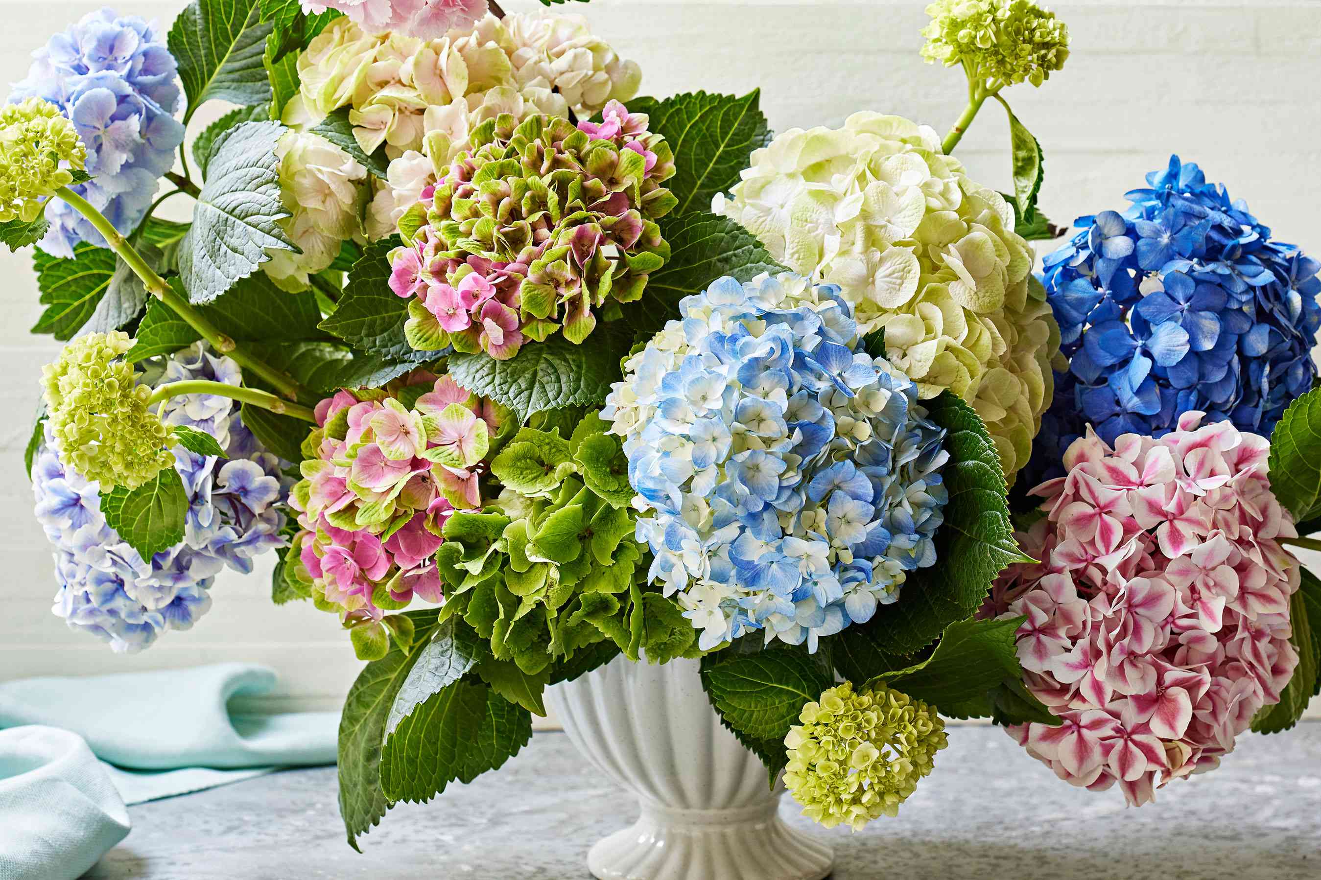 Why Your Southern Grandmother Always Sprayed Her Hydrangeas With Hairspray