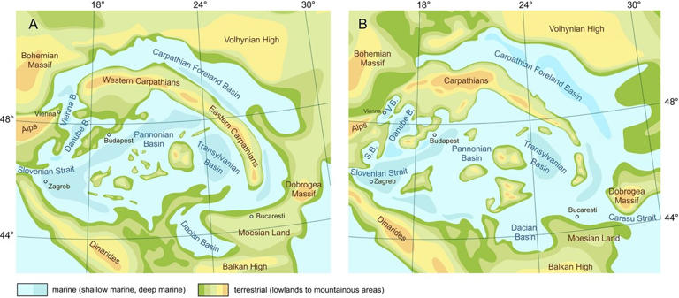 Museum collections indicate Central Europe was a global biodiversity ...