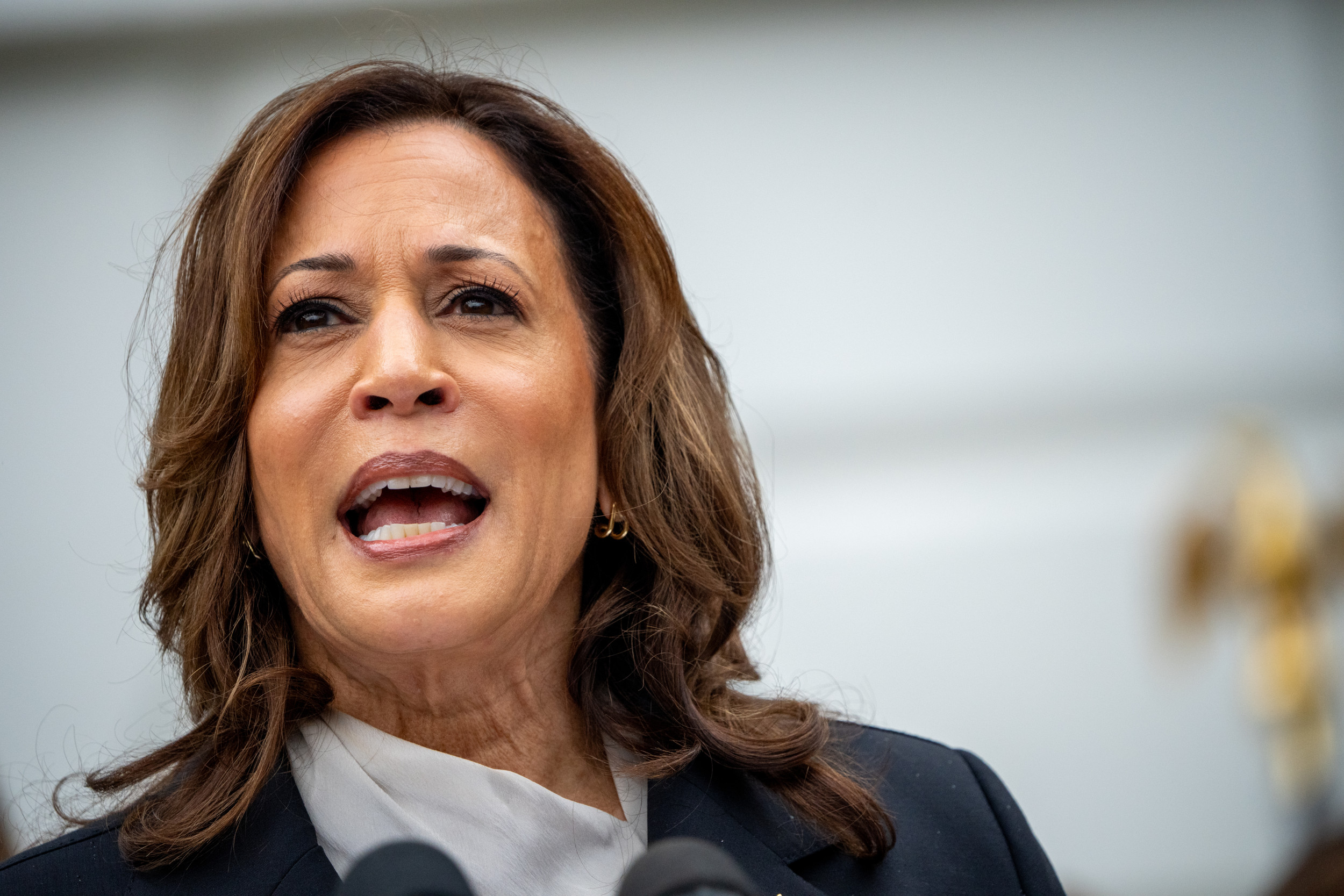 Fact Check: Kamala Harris Deep Fake Spreads After Biden Drops Out