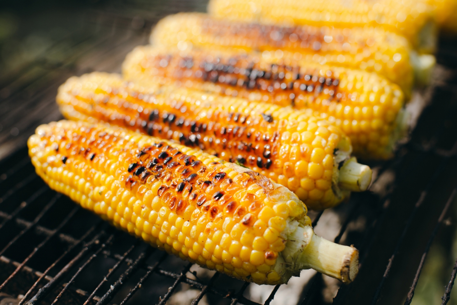 10 Fleischalternativen, die ihr auch für Nicht-Vegetarier auf den Grill ...