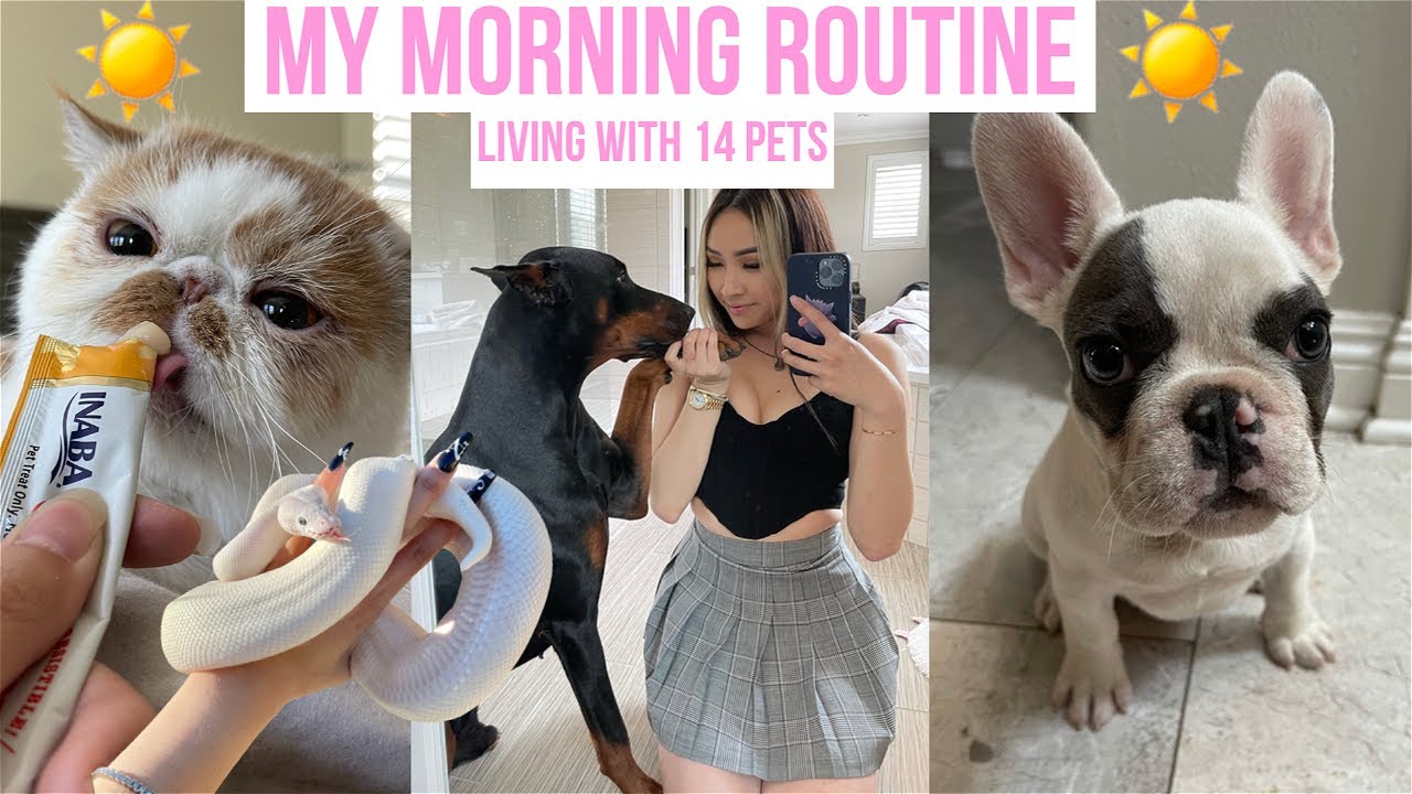 Her Morning Routine With 14 Pets Is Surprisingly Heartwarming