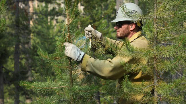 Bench Lake fire grows to 2,595 acres, 23 percent containment