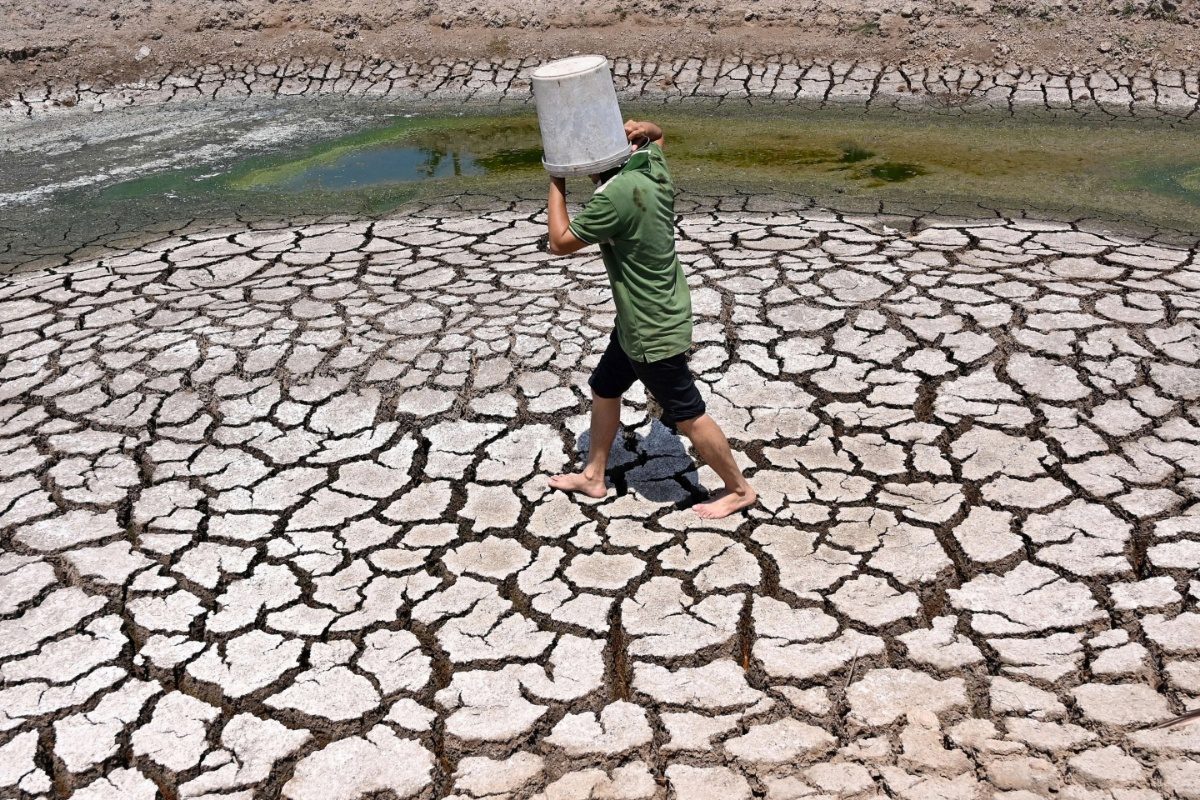 EU Climate Monitor Says July 21 Was The Hottest Day Ever Recorded Globally