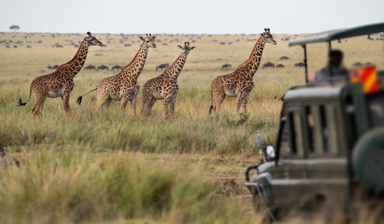 Maasai Mara