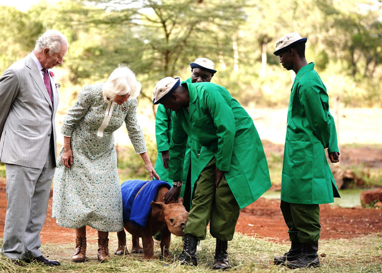 The trip by the King and Queen to Kenya in late autumn 2023 was the most expensive royal trip of the year to March 2024