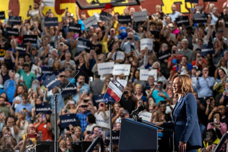 Democratic presidential candidate, Vice President Kamala Harris speaks to supporters during a campaign rally at West Allis Central High School, on July 23, 2024, in West Allis, Wisconsin.