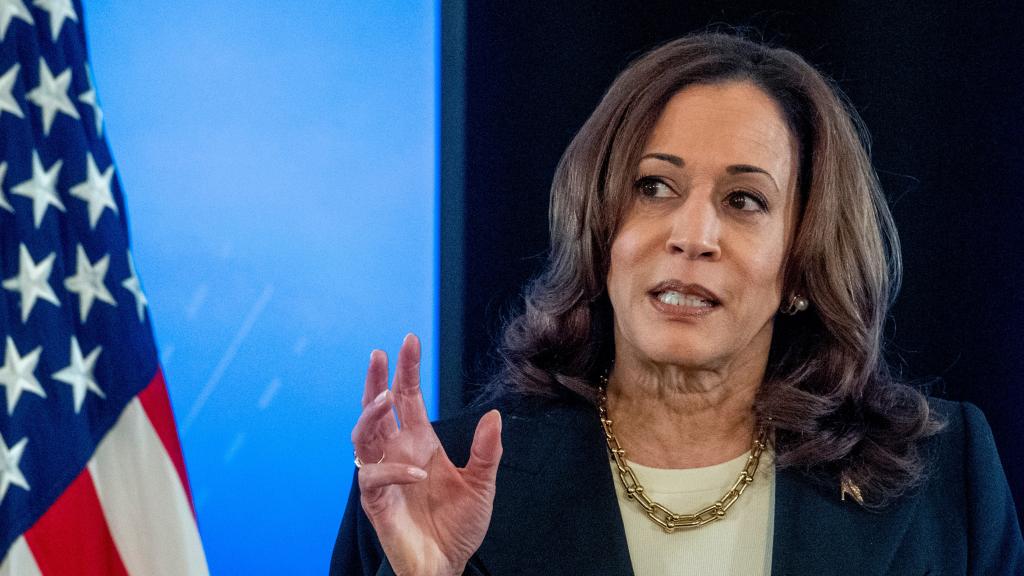 Kamala Harris' Wealth: The US Vice President's Net Worth And Salary ...