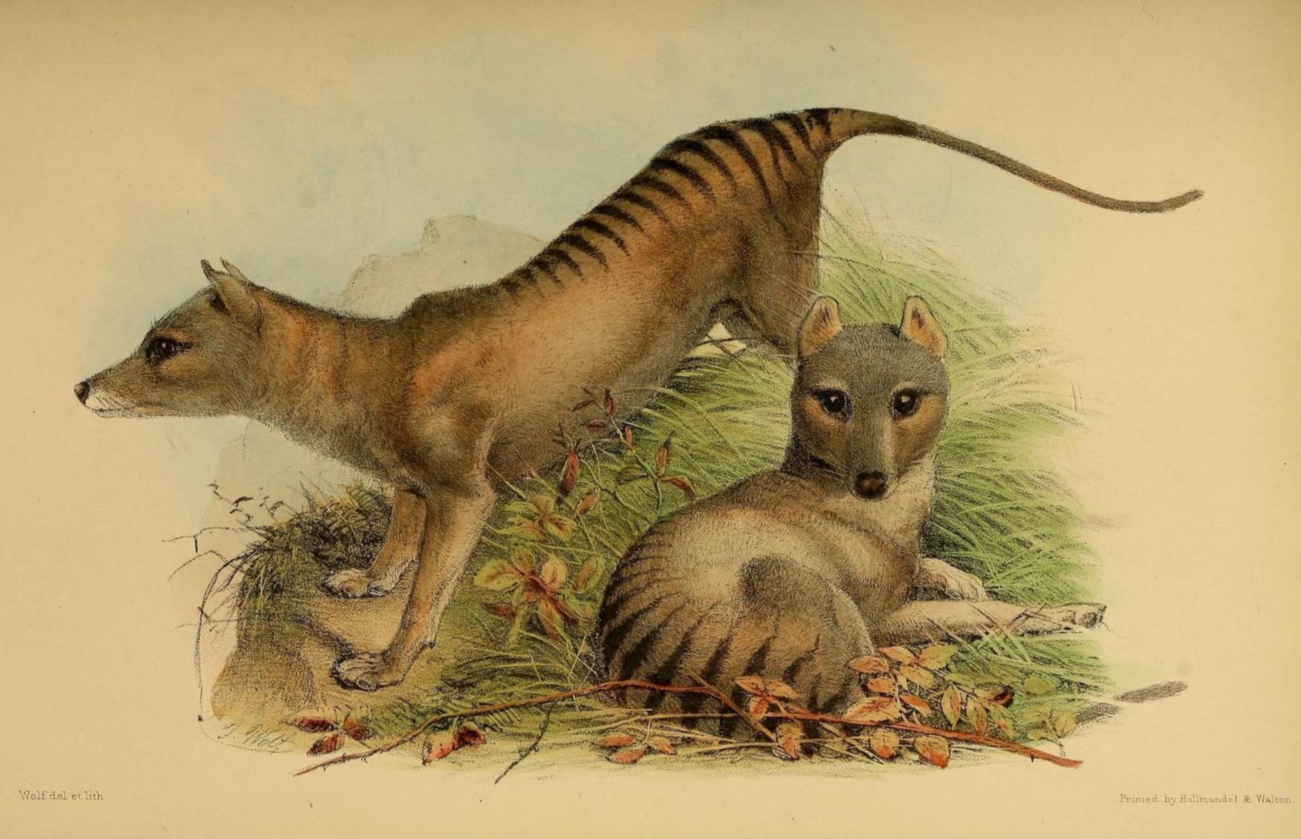 40 Incredible Extinct Creatures That Once Ruled Our Planet