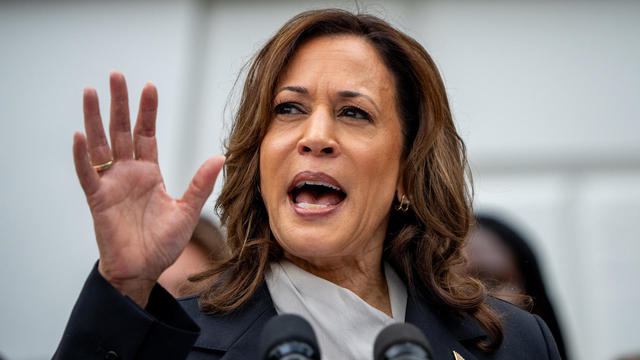 Debunking False Claims Targeting Kamala Harris Amid 2024 Presidential ...