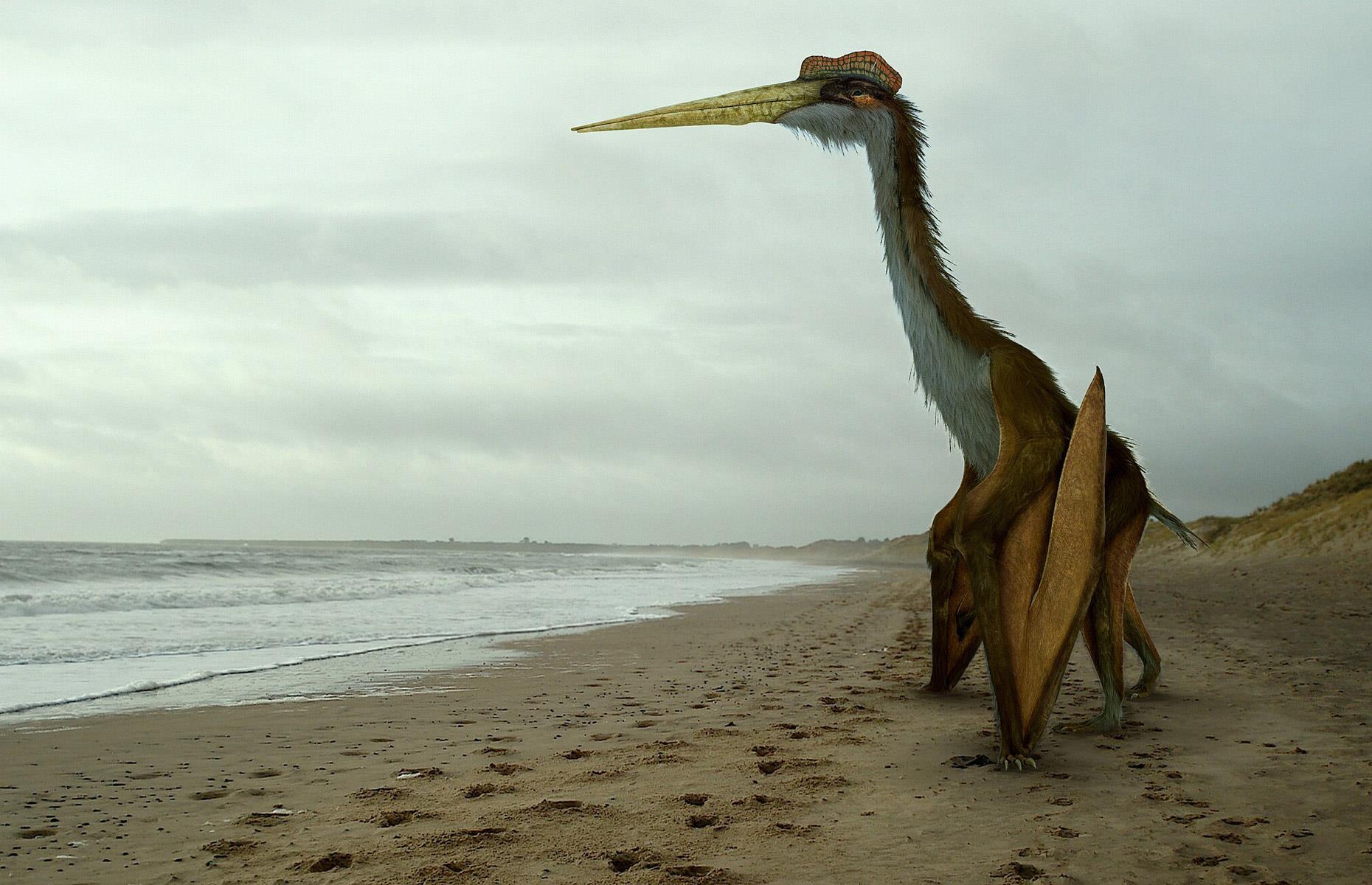Quetzalcoatlus