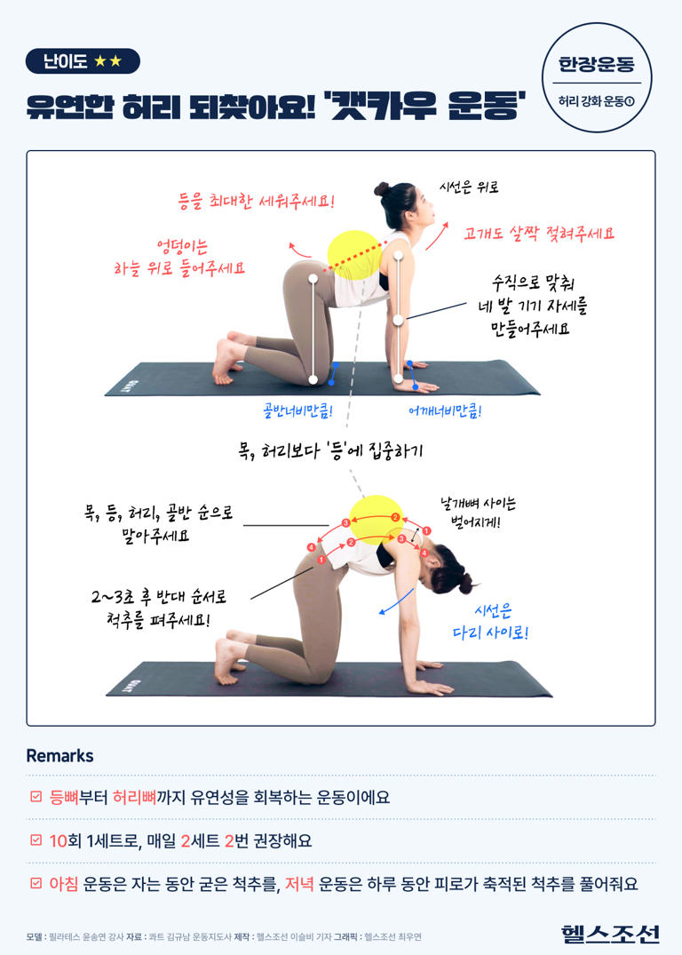 허리, 아프기 전에 ‘캣카우’ 하세요