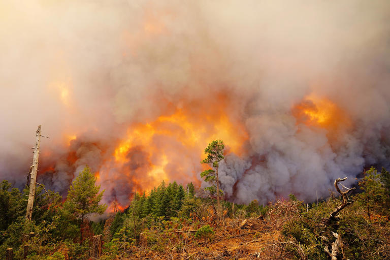 Park Fire updates: Wildfire stopped before reaching Shasta County; 20 ...