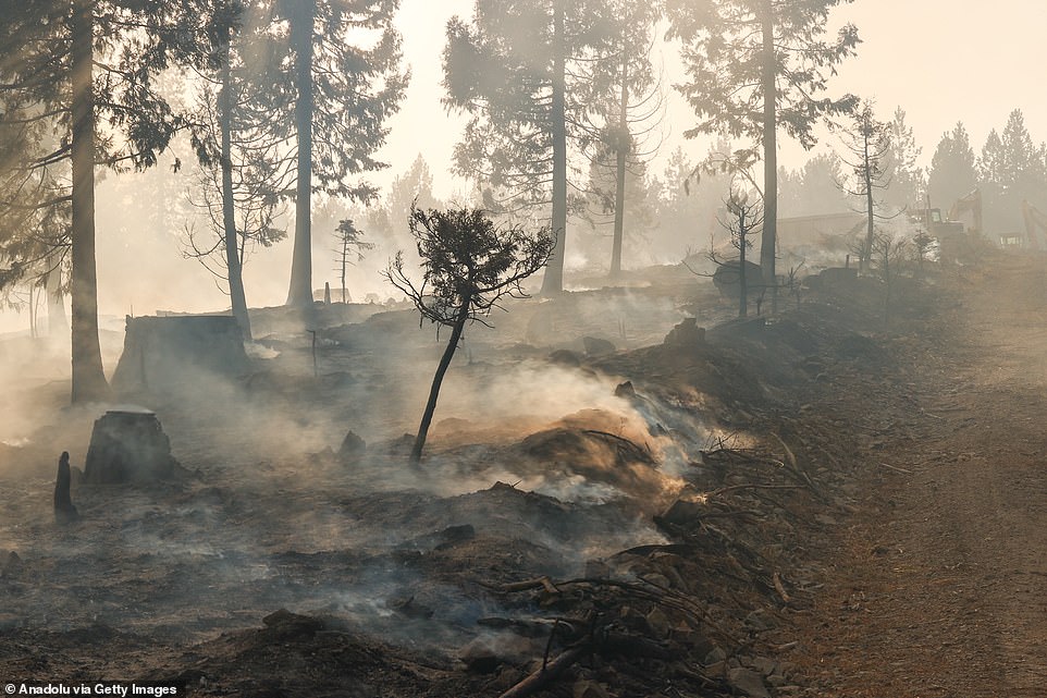 Wildfires ravaging western US dangerously spread to 11 states