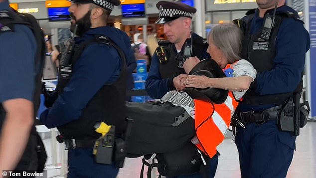 Just Stop Oil eco zealots try to block Heathrow Airport departure gate