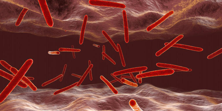 Experten Schlagen Alarm: 02.08.25   Italien: Zweiter Lokaler Chikungunya Fall – Die Ausbreitung! - rq3rzql